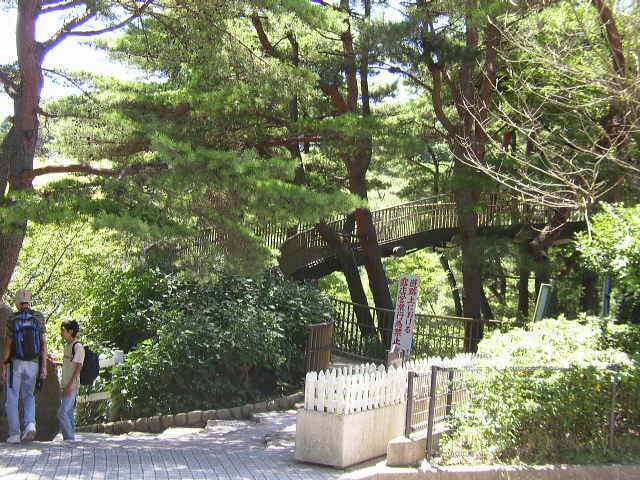 六甲山