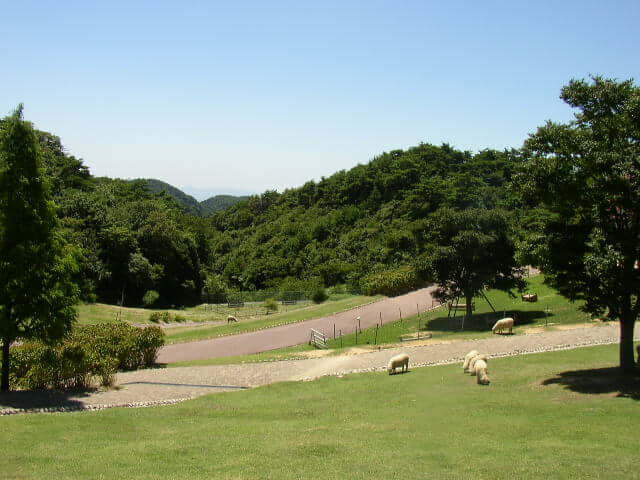 六甲山牧場