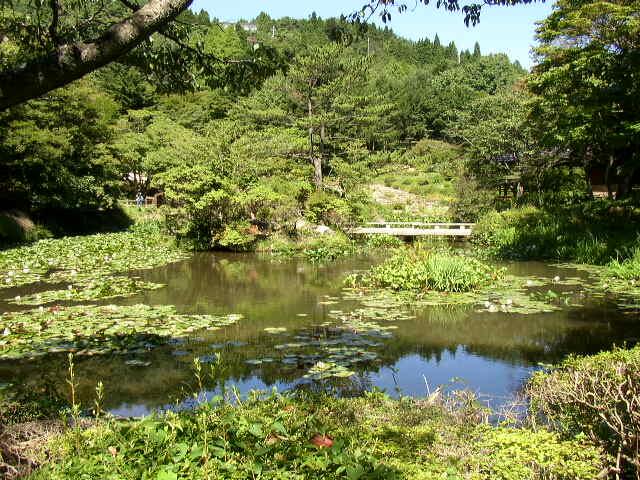 六甲高山植物園